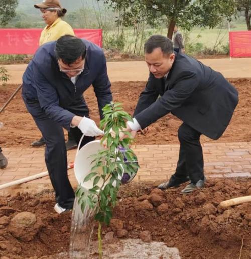 种了这些树!湛江国资委与徐闻龙塘联合植树添绿!